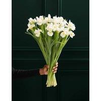 M&S Flower Market White Iris Letterbox Flowers