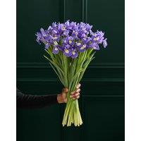 M&S Flower Market Blue Iris Letterbox Flowers