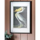 Inquisitive Pelican Rectangle Framed Art