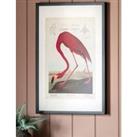 Curious Flamingo Rectangle Framed Art