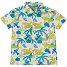 Buy Pure Cotton Hawaiian Shirt (2-10 Yrs)