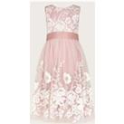 Embroidered Lace Occasion Dress (2-15 Yrs)