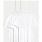Buy 3pk Pure Cotton Crew Neck T-Shirts