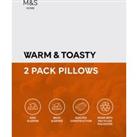 2pk Warm & Toasty Medium Pillows