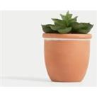 Artificial Mini Succulent in Terracotta Pot