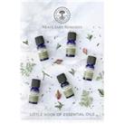 Little Book of Essential Oils