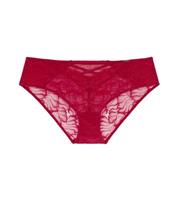 Dorina Red Floral Lace Hipster Briefs New Look