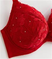 Women's Red Floral Lace Diamant Plunge Bra New Look