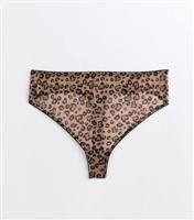 Women's Plus Size Brown Leopard-Print Mesh High-Waisted Thong Curves New Look