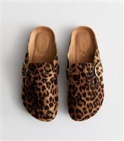 Women's Brown Animal Print Unlined Clogs New Look