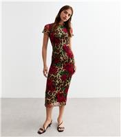 Women's Brown Leopard Print Mesh Mini Dress New Look