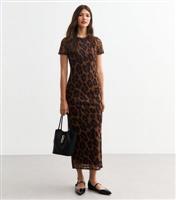 Women's Brown Leopard Print Mesh Midi Dress New Look