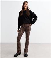 Women's Brown Leopard Print Flared Leggings New Look