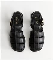 Women's Black Multi Strap Gladiator Sandals New Look