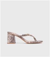 Women's Brown Snakeskin Print Thong Strap Mules London Rebel New Look