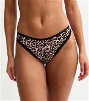 Women's Brown Leopard Print Lace Trim Briefs New Look