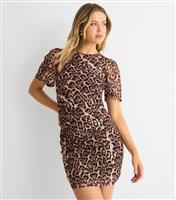 Women's Brown Leopard Print Stretch Mesh Mini Dress Gini London New Look