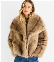 Women's Mid Brown Faux Shawl Collar Jacket Gini London New Look