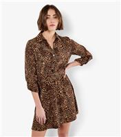 Women's Brown Leopard Print Belted Dress Apricot New Look