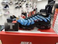 Nike Air Max Plus TN (GS) SHARK ATTACK~ HV2884 400 ~ Youth Size UK 6 ~ Euro 40