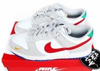 Nike Dunk Low Light Iron Ore Grey University Red Blue UK 10 US 11 DV3497-001 New