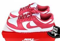 Nike Dunk Low W Archeo Pink Red White UK 8 US 9 W 10.5 EUR 42.5 DD1503-111 New