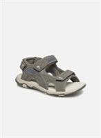 Canguro Sandals Size 6UK Older Boys Summer Shoes Grey