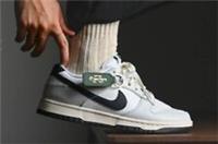 Nike Dunk Low Next Nature Shoe HF4299 001 UK 5/ EUR 38
