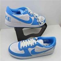 Nike Terminator Low Unisex Men's/Women's Trainers UK 9 University Blue/White