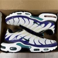 Nike TN Air Max Plus Trainers White Grape Ice Size UK7.5 US8.5 EU42 DM0032-100 ?