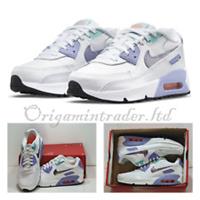Nike Air Max 90 LTR SE 2 (GS) 'White Dark Purple Dust' CZ4500-100