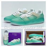 Nike SB Ishod PRM `Light Menta` DO9400-300
