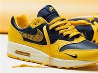 NIKE AIR MAX 1 PRM CO.JP MICHIGAN Head To Head SIZE UK 9.5 EUR 44.5 (FJ5479 410)