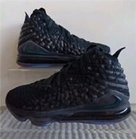 NIKE LEBRON XVII ,,Currency'' SIZE UK 6.5 EUR 40.5 (BQ3177 001)