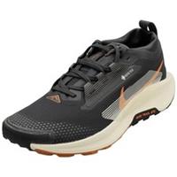 Nike Pegasus Trail 5 Gore-tex Mens Fashion Trainers in Black