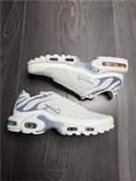 Nike Air Max Plus TN Ashen Slate DZ3671-104 Womens UK 7.5