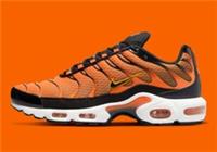 Air Max Plus Safety Orange University Gold DM0032 800