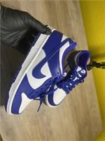 Nike Dunk Low Concorde Older Kids/ Size 5.5 UK / Brand New / Fast Dispatch ✅