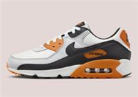 Authentic Nike Air Max 90 Monarch ( Men UK Size 7.5 EUR 42 ) Platinum / White