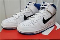 JUNIORS NIKE DUNK HIGH WHITE BLUE TRAINER 308319-109