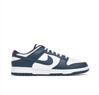 Nike Dunk Low Valerian Blue DD1391-400