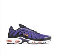 Nike Air Max Plus OG Voltage Purple (2024) DX0755-500