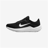 Nike Winflo 10 Men's Trainers Sneakers Shoes DV4022-003