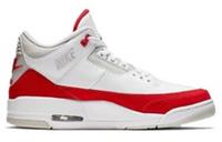 NIKE AIR JORDAN 3 RETRO TH SP