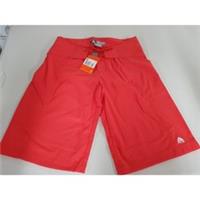 Nike ACG Shorts Size 6 - 6 Regular