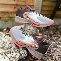 Nike Zoom Freak 4 "Letter Bro" Brown DJ6149 003 UK10 UK12 EUR45 47.5 BASKETBALL
