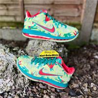 Nike LeBron IX 9 Low Lebronald Palmer DO9355-300 UK6 US7 EUR40 BASKETBALL LBJ