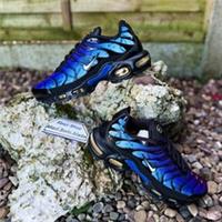 Nike Air Max Plus TN 25th Anniversary FV0393-001 UK5 US5.5 EUR38 Gym Training