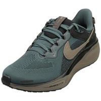 Nike Air Zoom Pegasus 41 Sp Mens Fashion Trainers in Faded Spruce - 6 UK