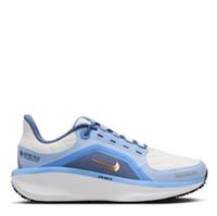 Nike Winflo 11 Gore-Tex Women's Running Shoes WomensSize UK 6 US 8.5 *REFSSS848
